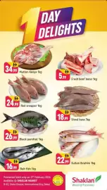 Shaklan leaflet Page 1