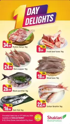 Shaklan leaflet (valid until 17-02)