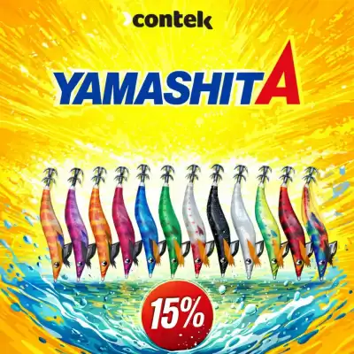 Folheto Contek (válido até 2-03)