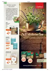 Prokopp Flugblatt Seite 5