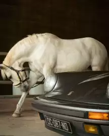 Porsche catalogue Page 3