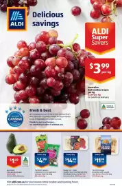 ALDI catalogue | Special Buys Page 26