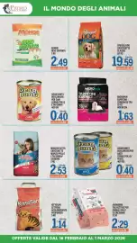 Volantino Gruppo Pascar Pagina 13