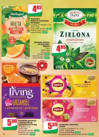 Dino gazetka tydzień 8 Strona 10