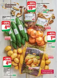 Dino gazetka tydzień 8 Strona 29