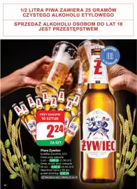 Dino gazetka tydzień 8 Strona 40