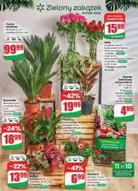 Dino gazetka tydzień 8 Strona 47