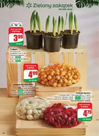 Dino gazetka tydzień 8 Strona 48