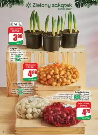 Dino gazetka tydzień 8 Strona 48