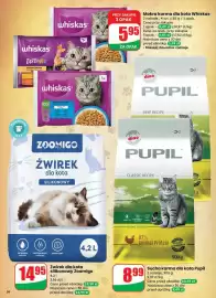 Dino gazetka tydzień 8 Strona 56