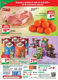 Dino gazetka tydzień 8 Strona 63