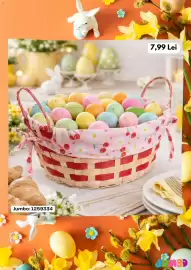 Catalog Jumbo Pagină 3