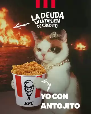 Catálogo KFC (válido hasta 28-02)