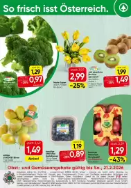 Spar Flugblatt woche 8 Seite 12