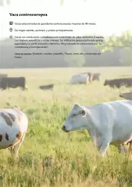 Folleto GM Cash & Carry Página 12