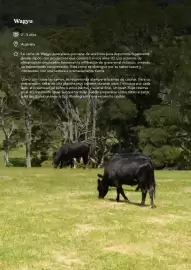 Folleto GM Cash & Carry Página 16