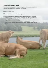 Folleto GM Cash & Carry Página 8