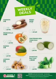 Amazing Oriëntal folder week 8 Pagina 1