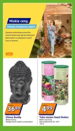 Action gazetka tydzień 8 Strona 13