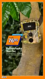 Action gazetka tydzień 8 Strona 16