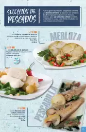 Folleto Abordo Página 17