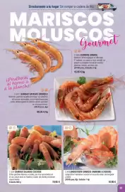 Folleto Abordo Página 25