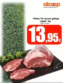 Folleto Super Alcoop semana 8 Página 17