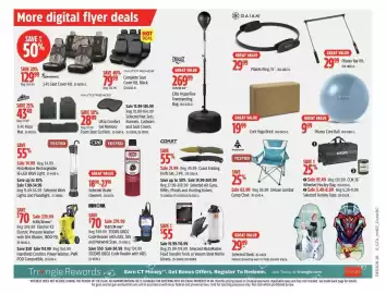 Canadian Tire flyer week 8 Page 19