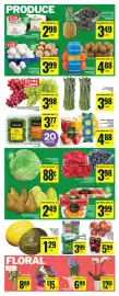 Food Basics flyer week 8 Page 7