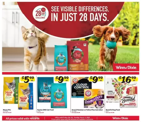 Winn Dixie weekly ad (valid until 3-03)
