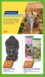 Volantino Action settimana 8 Pagina 13