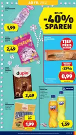 Hofer Flugblatt Seite 11