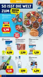 Hofer Flugblatt Seite 12