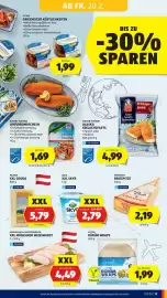 Hofer Flugblatt Seite 13