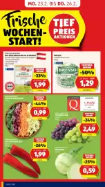 Hofer Flugblatt Seite 14