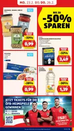 Hofer Flugblatt Seite 17