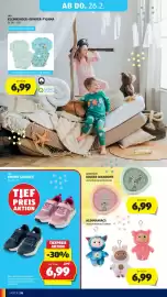 Hofer Flugblatt Seite 30