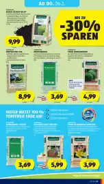 Hofer Flugblatt Seite 31