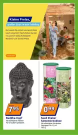 Action Prospekt woche 8 Seite 16