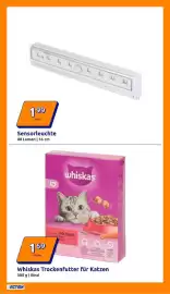 Action Prospekt woche 8 Seite 21