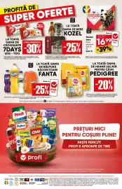 Catalog PROFI Pagină 16