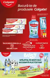 Catalog PROFI Pagină 17