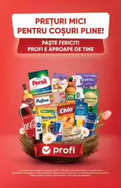 Catalog PROFI Pagină 6