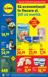 Catalog Lidl săptămâna 9 Pagină 1