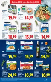 Catalog Lidl săptămâna 9 Pagină 31