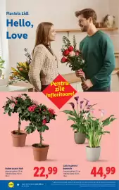 Catalog Lidl săptămâna 9 Pagină 58