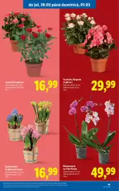 Catalog Lidl săptămâna 9 Pagină 59