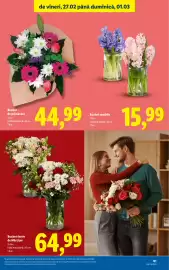 Catalog Lidl săptămâna 9 Pagină 61