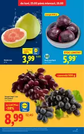 Catalog Lidl săptămâna 9 Pagină 7