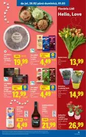 Catalog Lidl săptămâna 9 Pagină 71